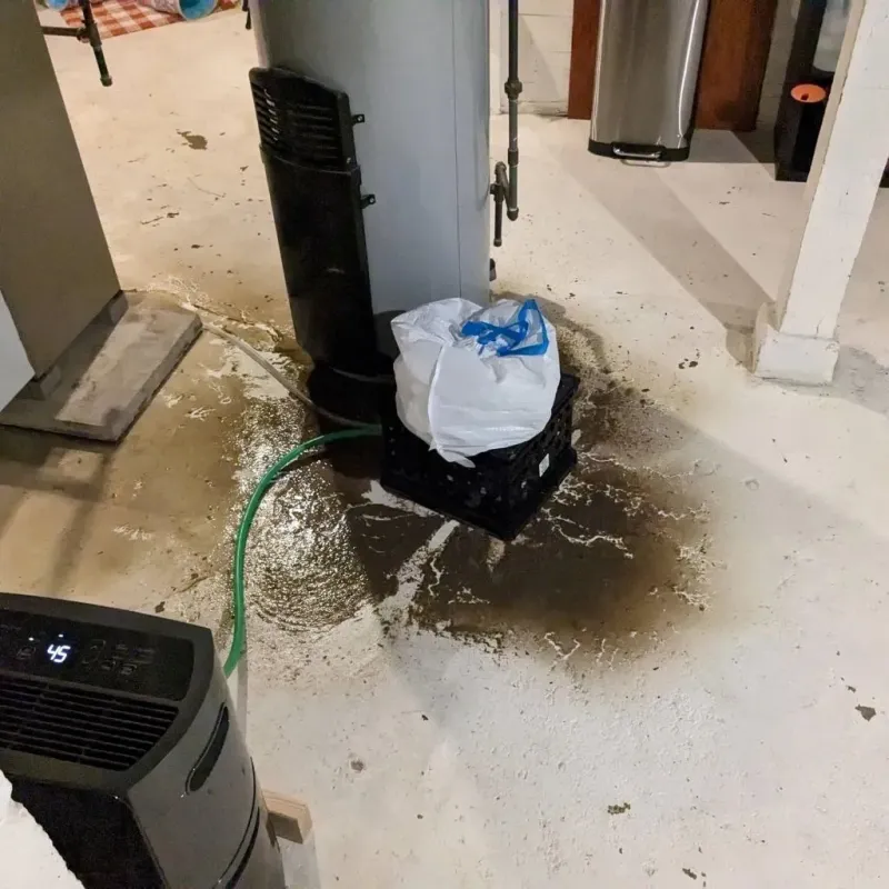 Sewage Backup Cleanup Service in Mannington, WV
